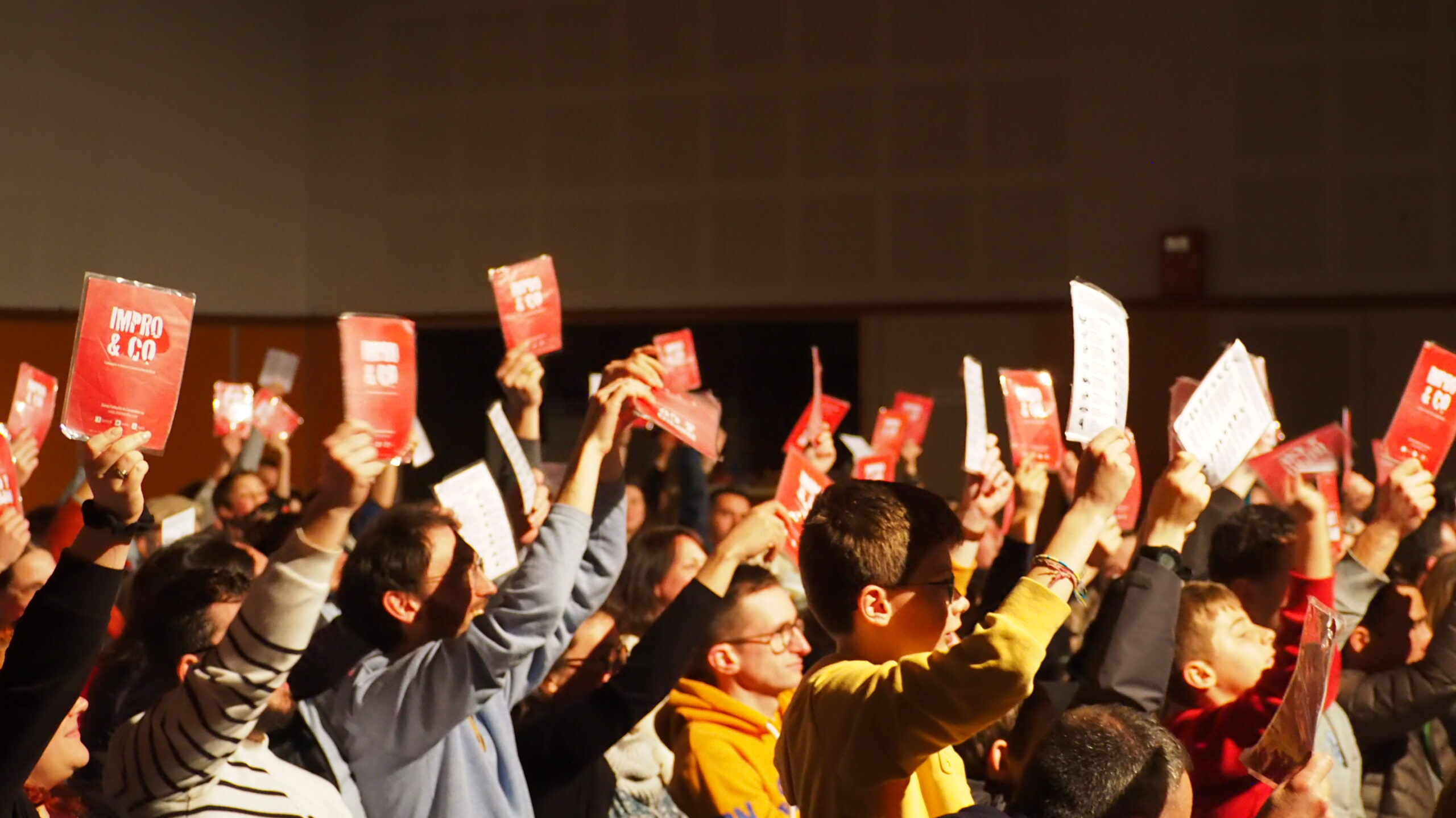 Match d'improvisation externe contre l'équipe Libido de Brest